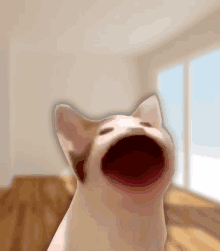 a white cat with its mouth wide open