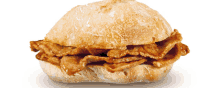 a close up of a sandwich with meat on a bun on a white background