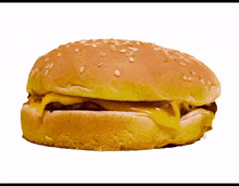 a hamburger on a bun with sesame seeds on a white background