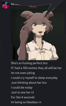 a picture of a bear with the words she 's so fucking perfect bro at the top