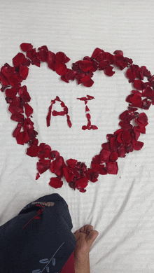 a person laying on a bed with a heart made out of rose petals with the letter a and i written on it