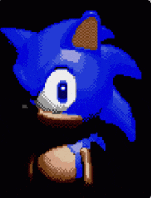 a pixel art of a sonic the hedgehog with a black background