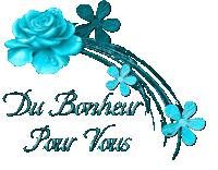 du bonheur pour vous written on a white background