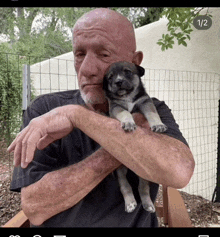 a man is holding a puppy in his arms with the number 1/2 on the bottom left