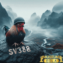 a rooster wearing a military helmet is sitting on a rock with the words sv388 written on it