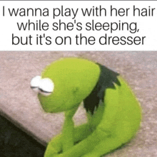 Kermit Meme Frog Meme Meme