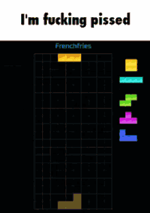 a screenshot of a tetris game that says i 'm fucking pissed frenchfries