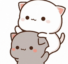 a white cat is holding a gray cat on its back