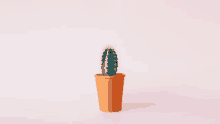 a small cactus in a brown pot on a pink surface