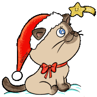 a drawing of a cat wearing a santa hat and looking up at a star