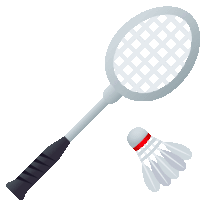 a badminton racket and shuttlecock with a red stripe on the shuttlecock