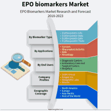 a graphic shows the epo biomarkers market research and forecast