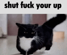 a black and white cat is running with the words shut fuck your up below it