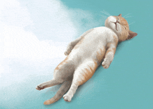 a cat laying on its back with its eyes closed on a blue background