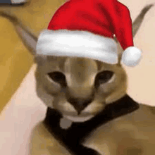 a close up of a cat wearing a santa hat on its head .