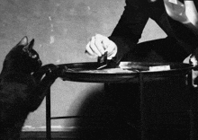 a black cat is reaching for something on a table while a man holds a fork .