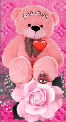 a pink teddy bear with anita cruz written on it sits on a pink rose