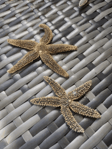 two starfish are laying on a gray weaved surface