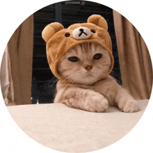 a cat wearing a teddy bear hat is laying on a blanket