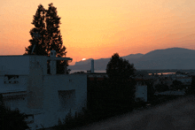 a sunset over a city with a white building in the foreground and a tree in the background