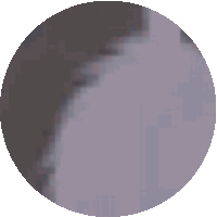 a pixelated image of a gray circle with a white border