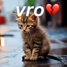 a kitten with a broken heart and the word vro on the bottom