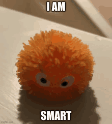 an orange ball with googly eyes and the words " i am smart " on it