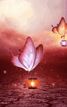 a butterfly is sitting on top of a lantern in a desert