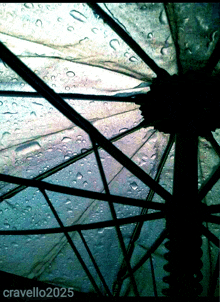 a picture of an umbrella with rain drops and the year 2025