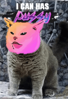 a cat with a pink face and the words " i can has pussy " on it