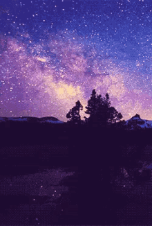 a purple sky with stars and trees in the foreground