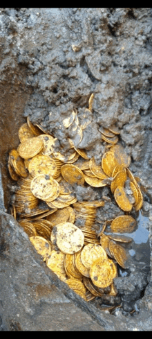 a pile of gold coins laying in the dirt