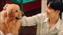 a man in a green shirt petting a golden retriever