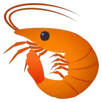 an orange shrimp with a black eye and a red tail