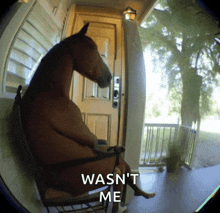 a horse is sitting in a rocking chair with the words wasn 't me behind it