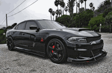 a black dodge charger is parked next to a palm tree