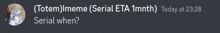 a screenshot of a discord message asking totem / meme serial when