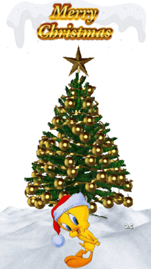 tweety wearing a santa hat next to a christmas tree with merry christmas written on it