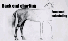 a drawing of a horse with the words back end charting and front end scheduling written on it