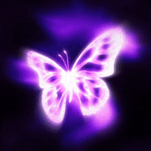 a glowing butterfly is flying in the dark