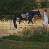 a man riding a black horse with a saddle on