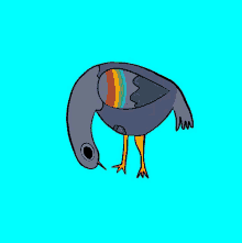 a drawing of a bird with a rainbow on its back