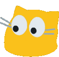 a yellow cat with big eyes and a gray whisker on a white background .