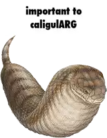 a picture of a snake with the words important to caligularg above it