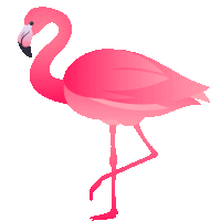 a pink flamingo with a black beak is standing on a white background