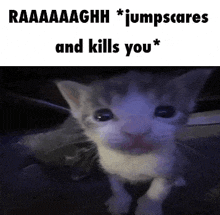 a gray and white kitten is looking at the camera with a caption that says `` raaaaaghh jumpscares and kills you ''