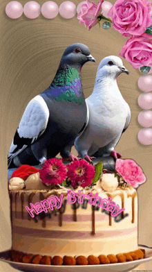 two pigeons sitting on top of a birthday cake