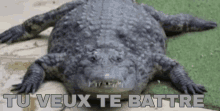 a large crocodile is laying on the ground with the words tu veux te battre written above it .