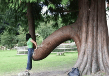 a woman standing next to a tree that has a large trunk that looks like a penis