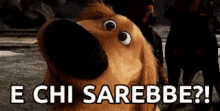 a picture of a dog with the words e chi sarebbe written on it